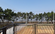 별리2층